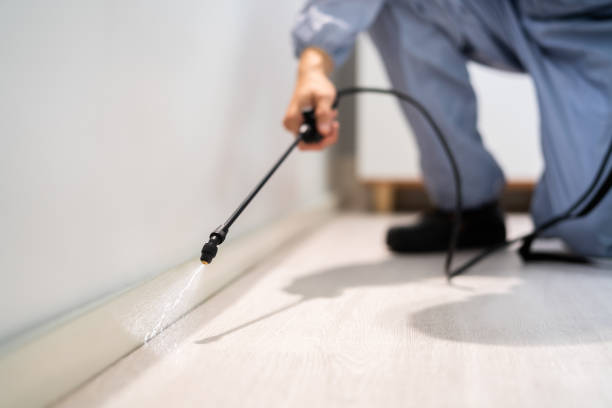 Licensed Pest Control service in Frederic, WI - Show Me Pest Control