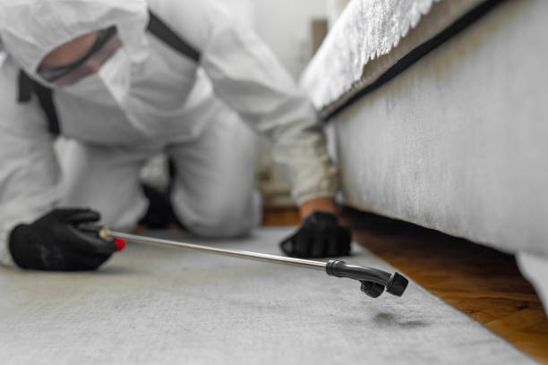 Professional Ant Control technician working in Frederic, WI